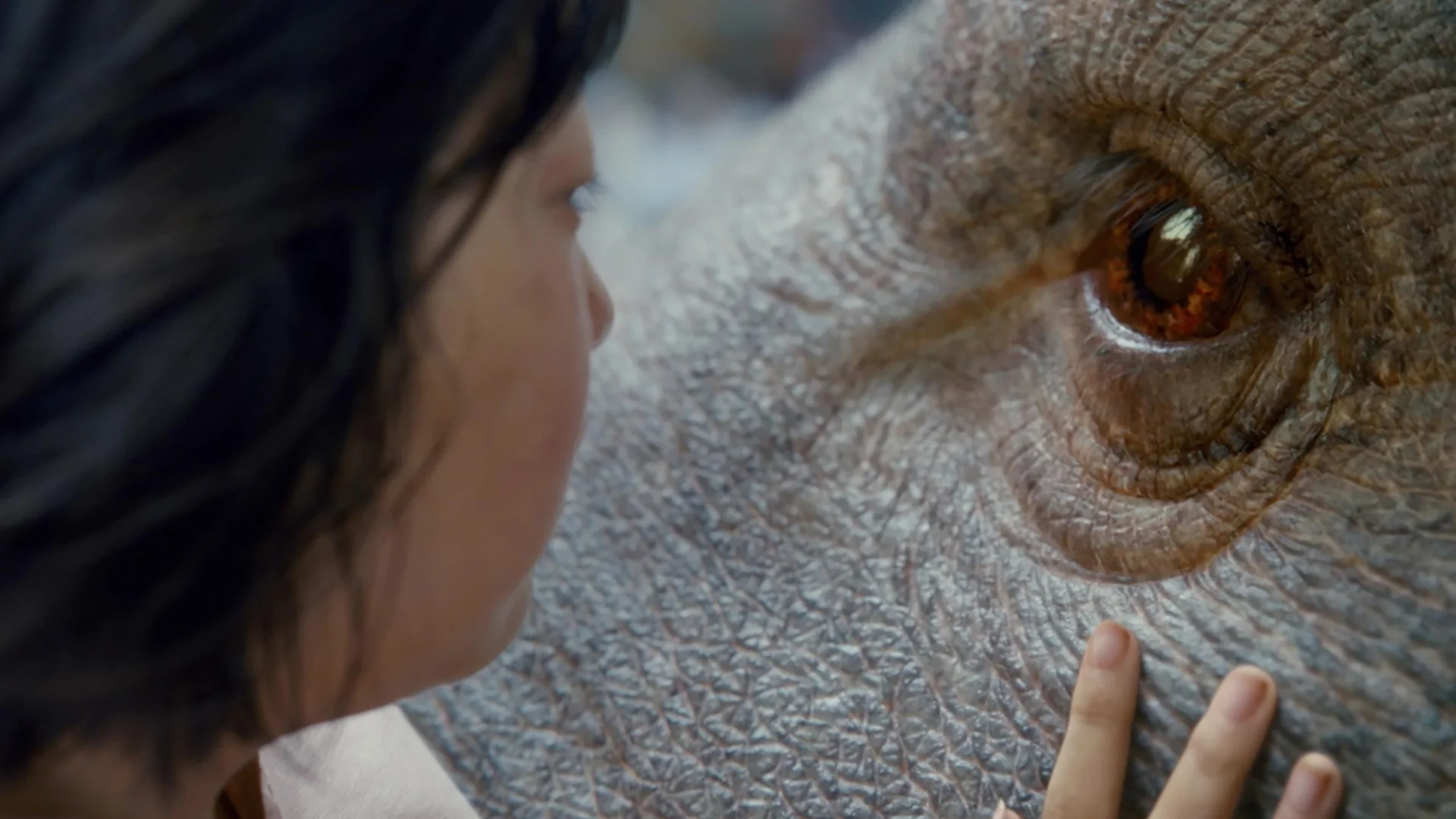 Backdrop de Okja