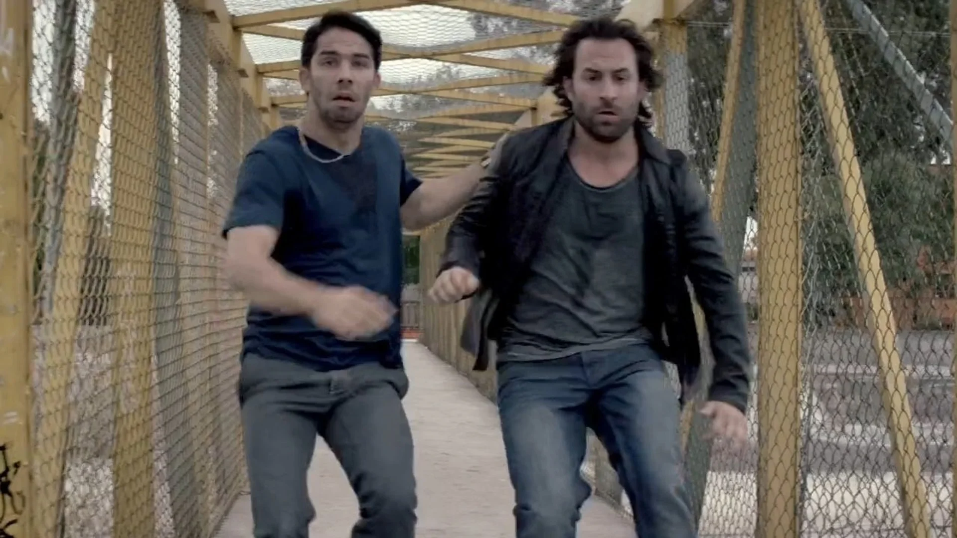 Backdrop de Purasangre