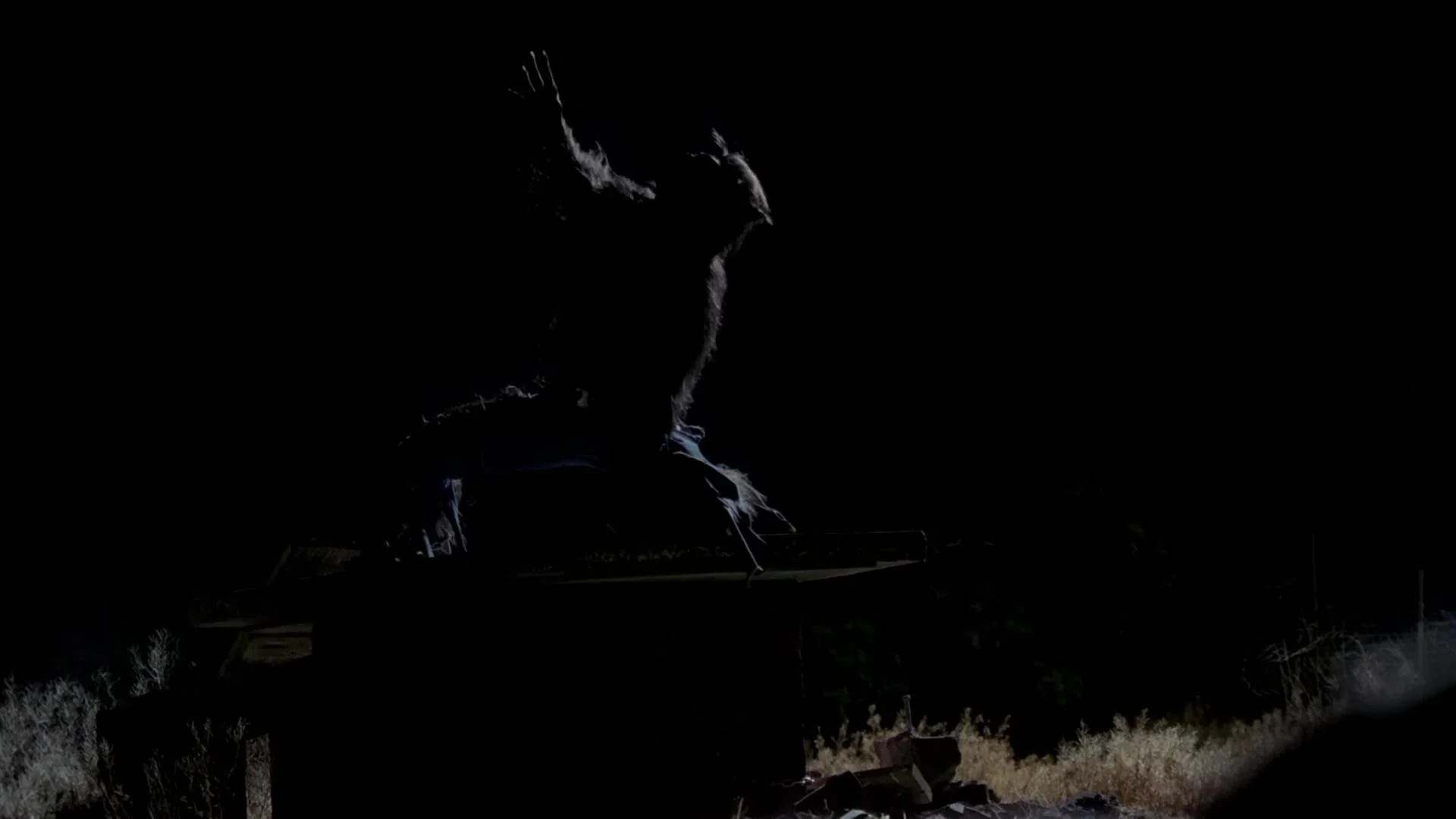 Backdrop de Dark Moon Rising