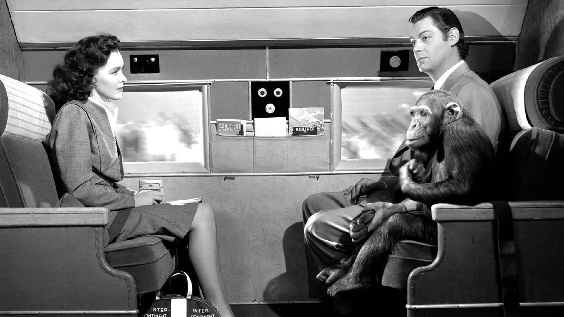 Backdrop de Tarzán en Nueva York