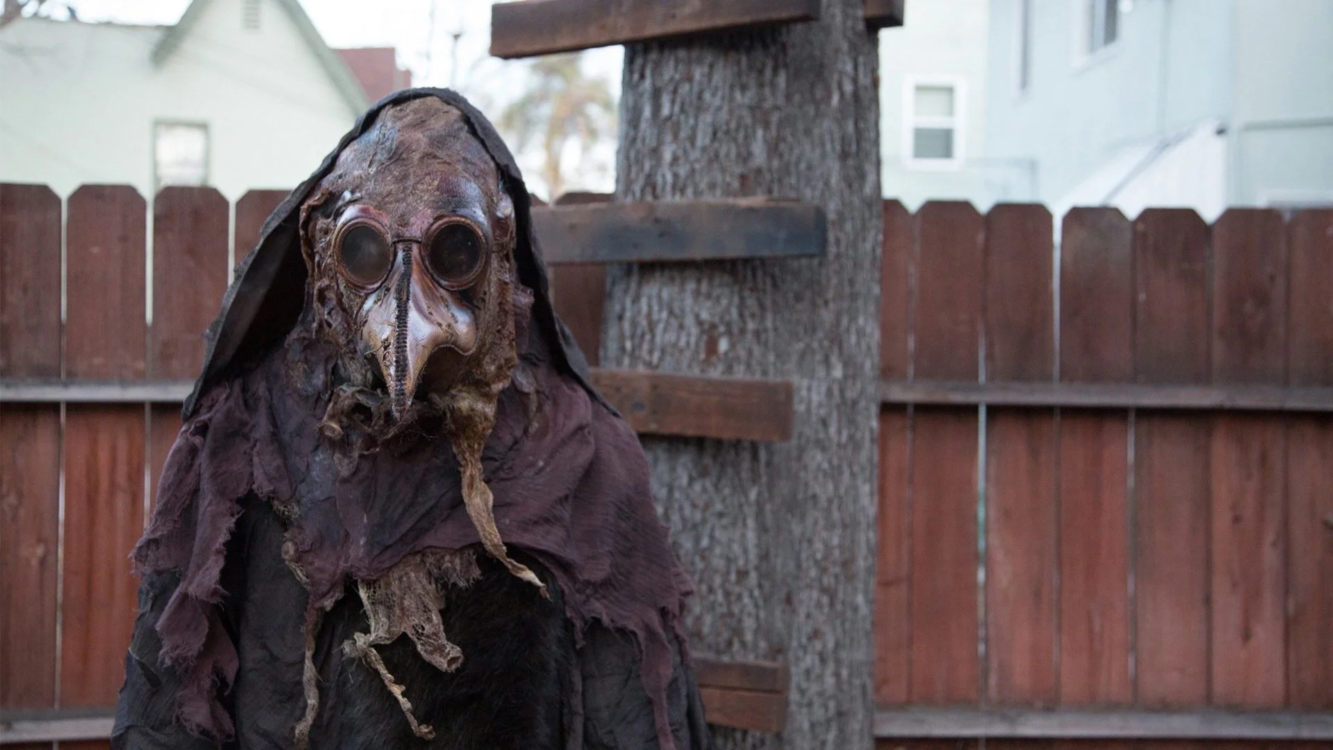 Backdrop de The Watcher