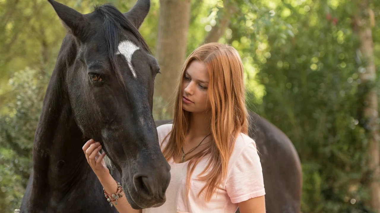 Ostwind 3 – Aufbruch nach Ora