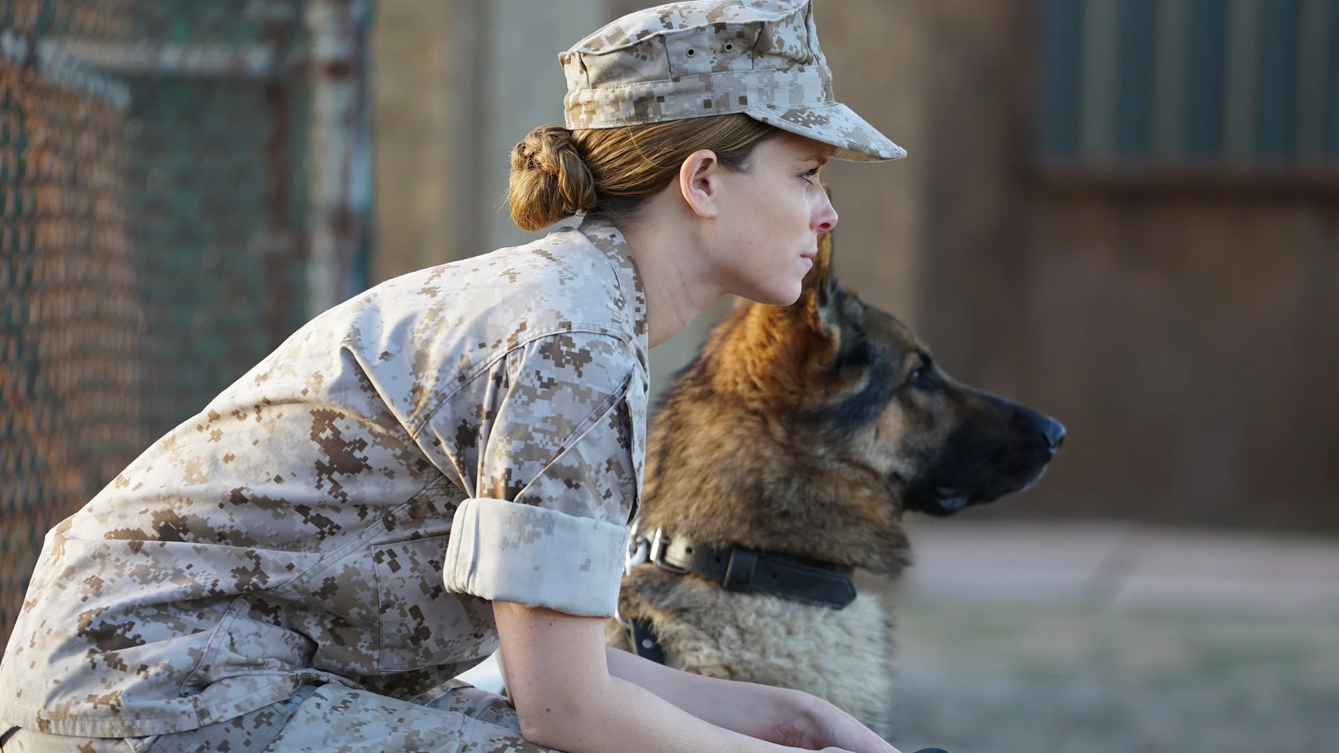 Backdrop de Megan Leavey