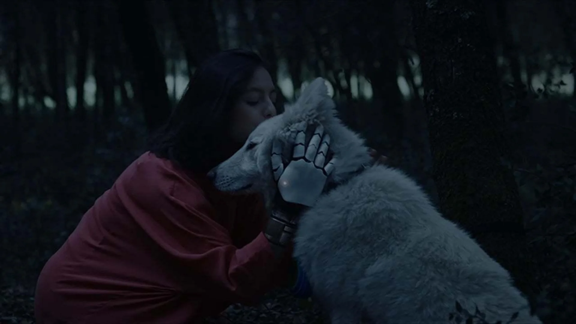 Backdrop de Black Hollow Cage