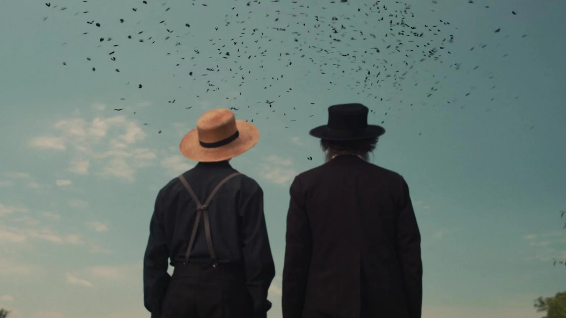 Backdrop de Cosecha del mal