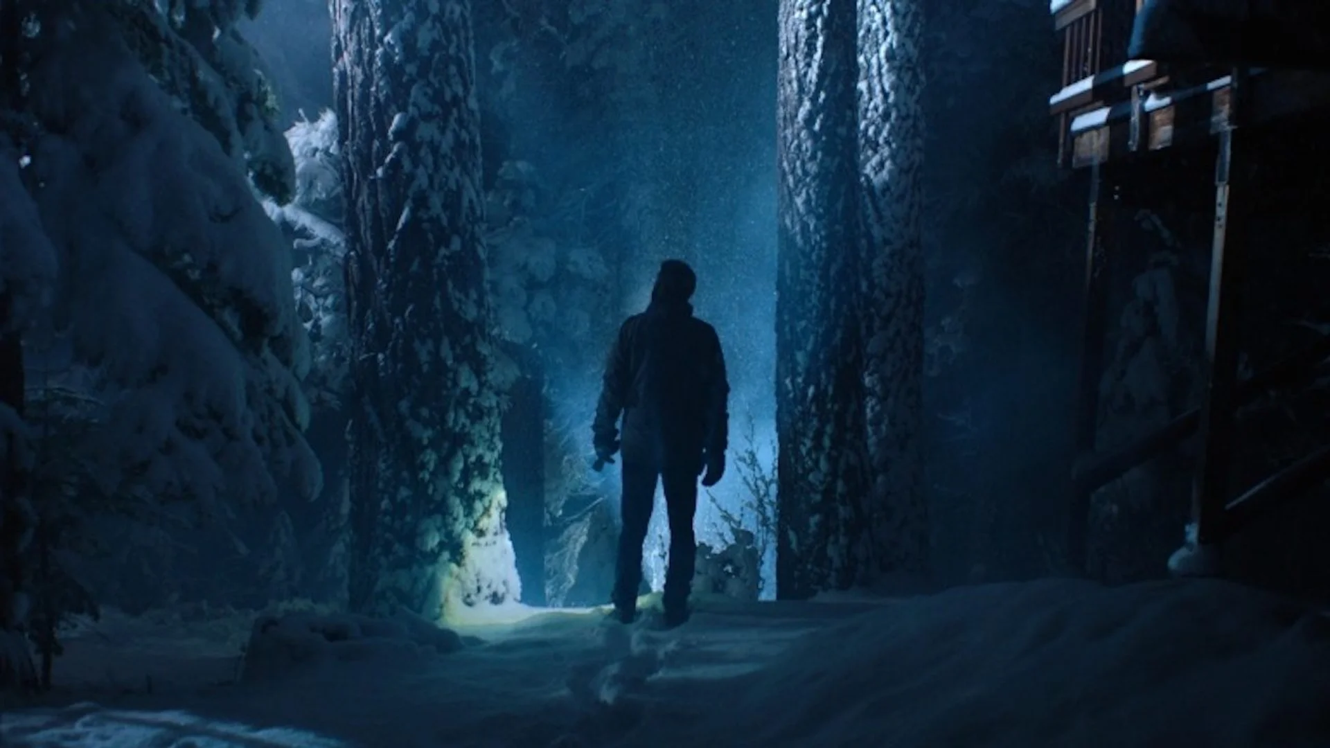 Backdrop de Muerte de noche