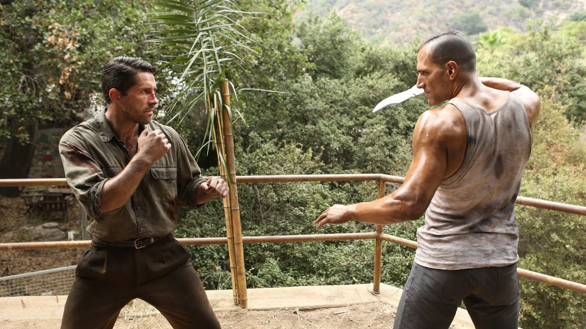 Backdrop de Savage dog 2017