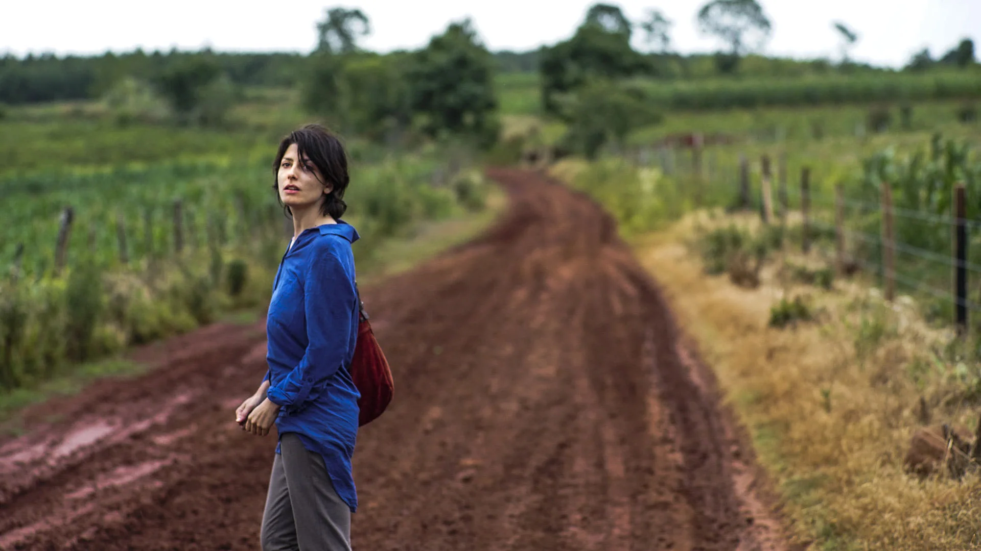 Backdrop de Una especie de familia