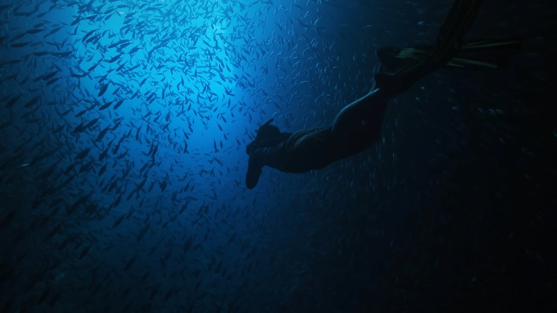 Backdrop de Earth Live