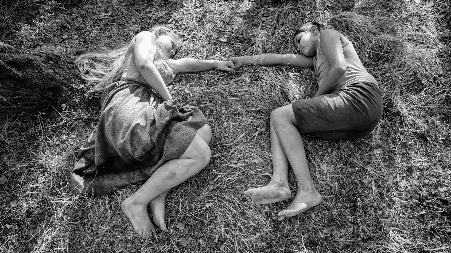 Backdrop de The Painted Bird