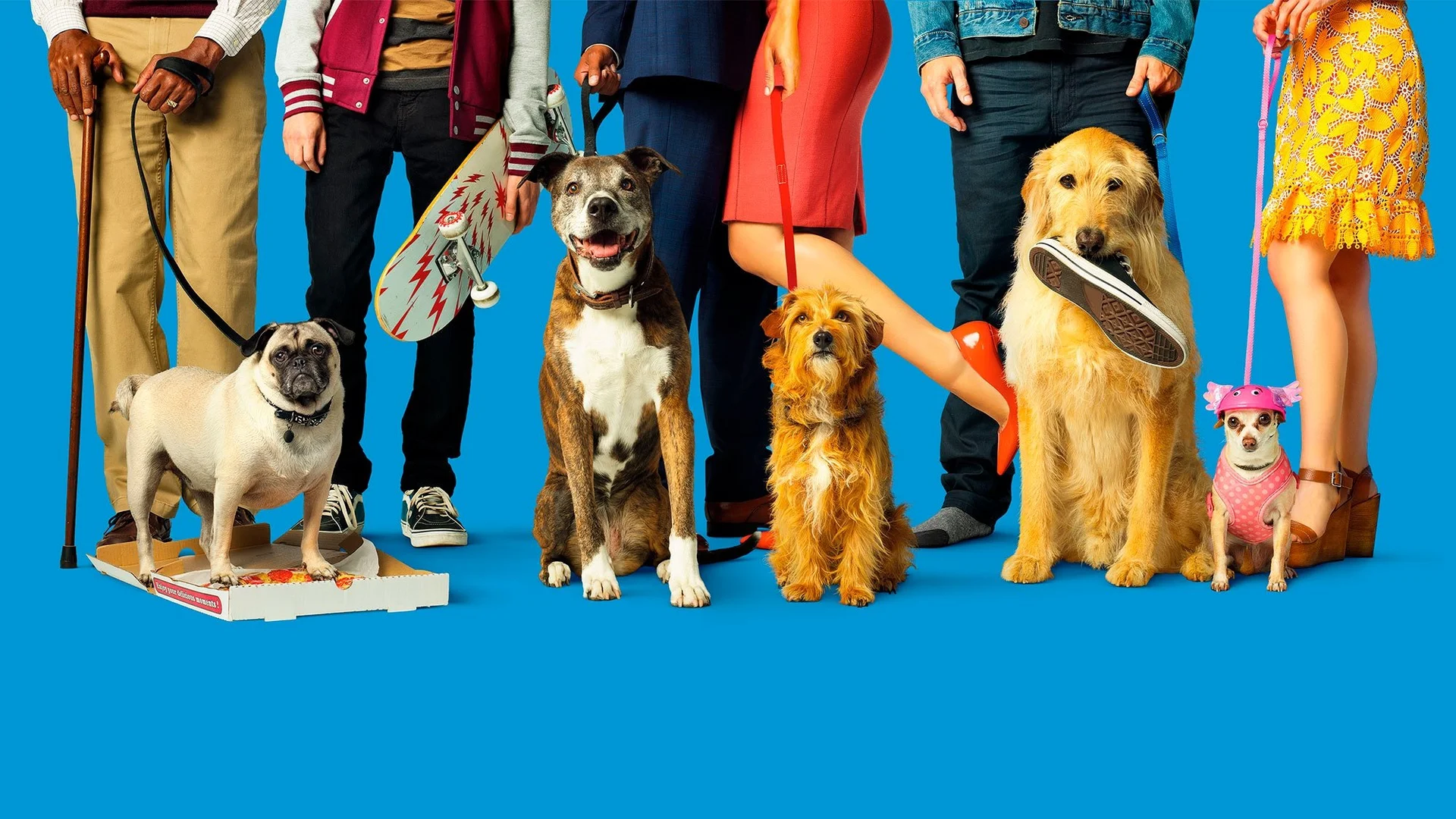 Backdrop de Dia De Perros