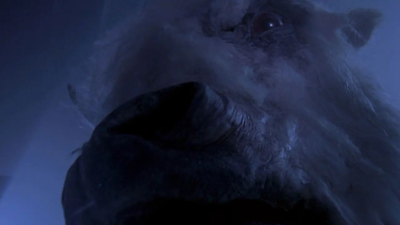 El Desafió del búfalo blanco