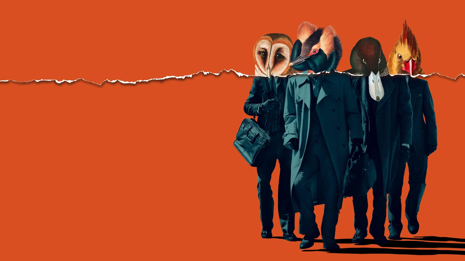 Backdrop de Animales Norteamericanos