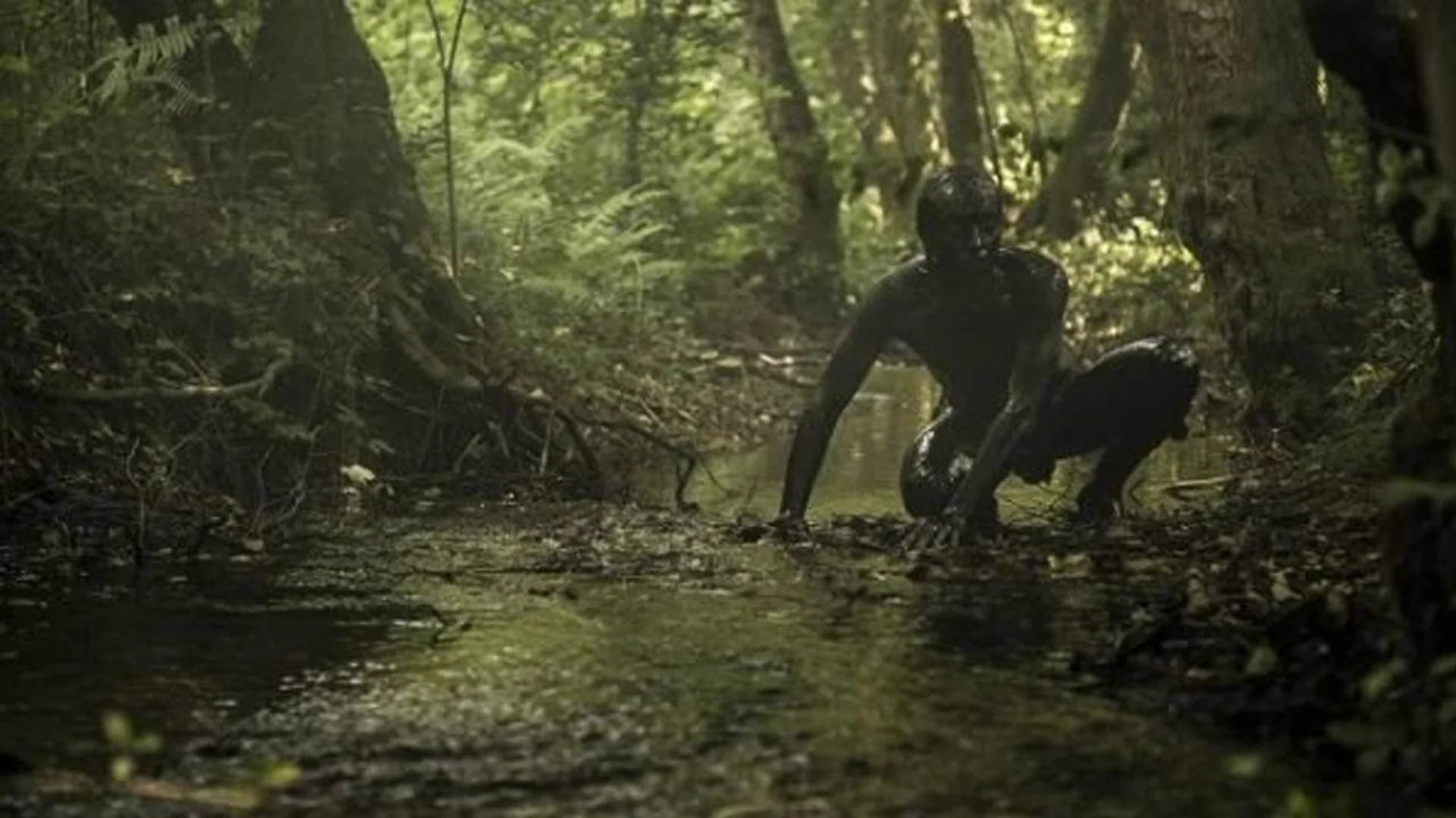 Backdrop de The Book Of Vision