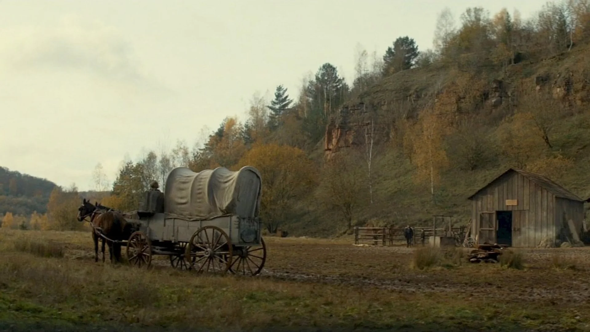 Backdrop de Never Grow Old