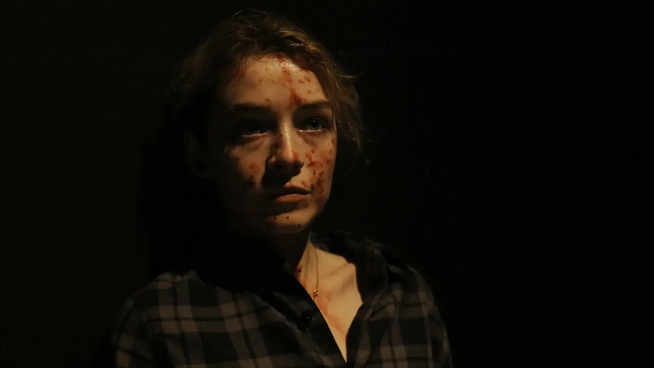 Una Buena Mujer es Difícil de Encontrar