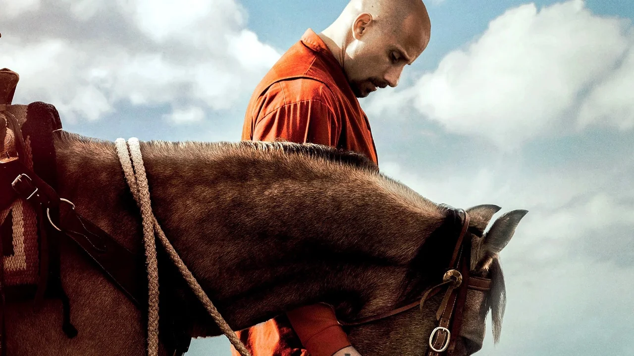 Mustang: La rehabilitación