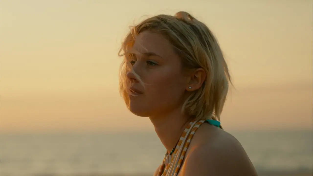 De l’or pour les chiens