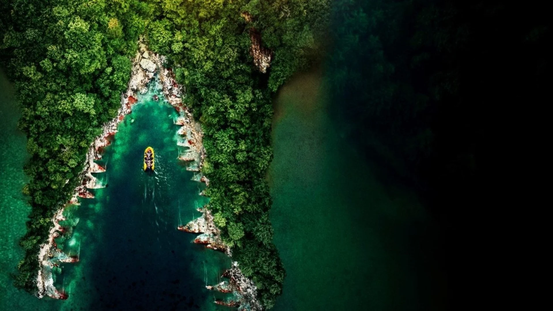 Backdrop de El cocodrilo 6: Legado