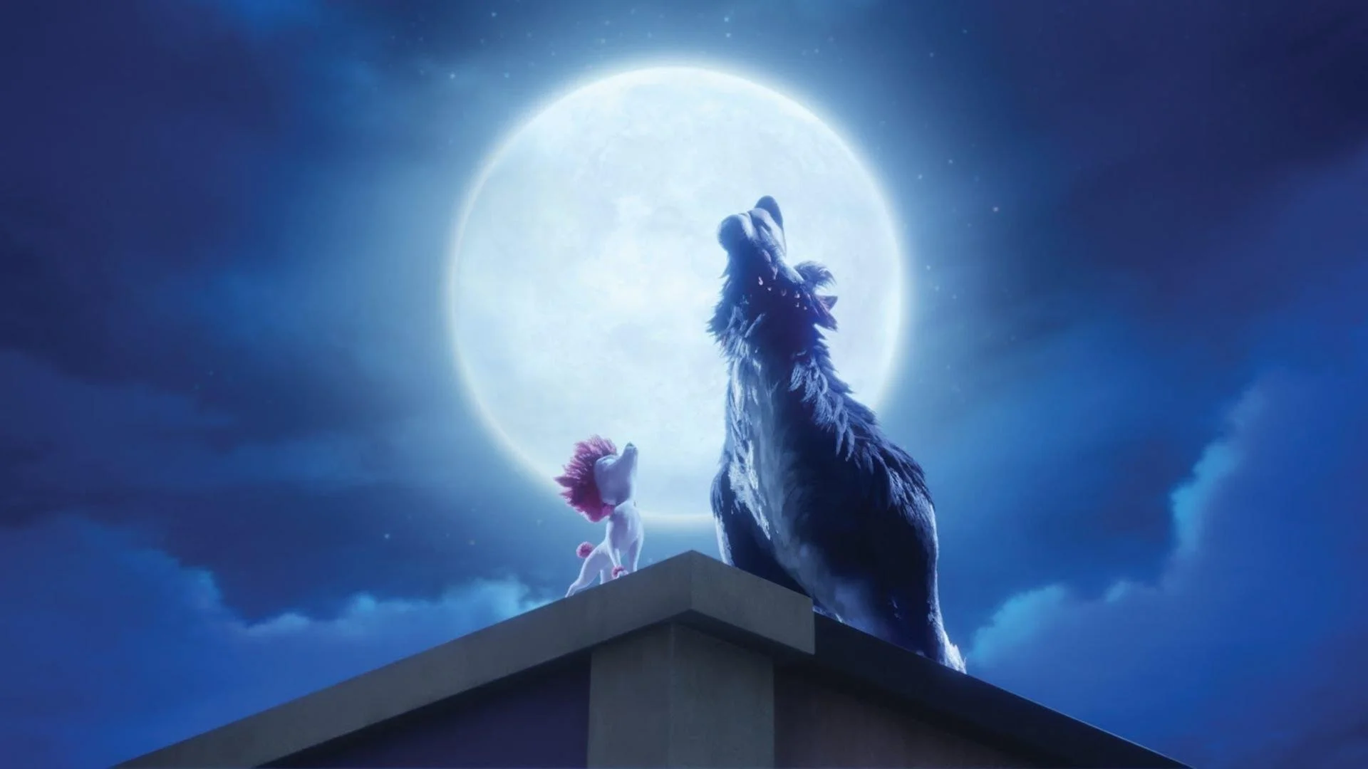 Backdrop de 100% Lobo