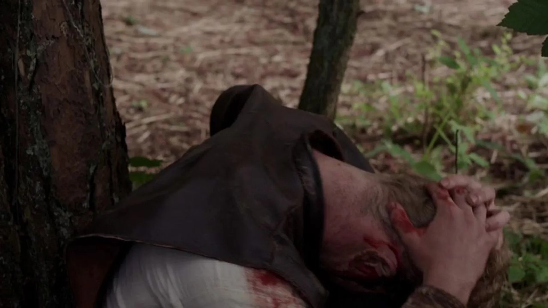 Backdrop de El último vikingo