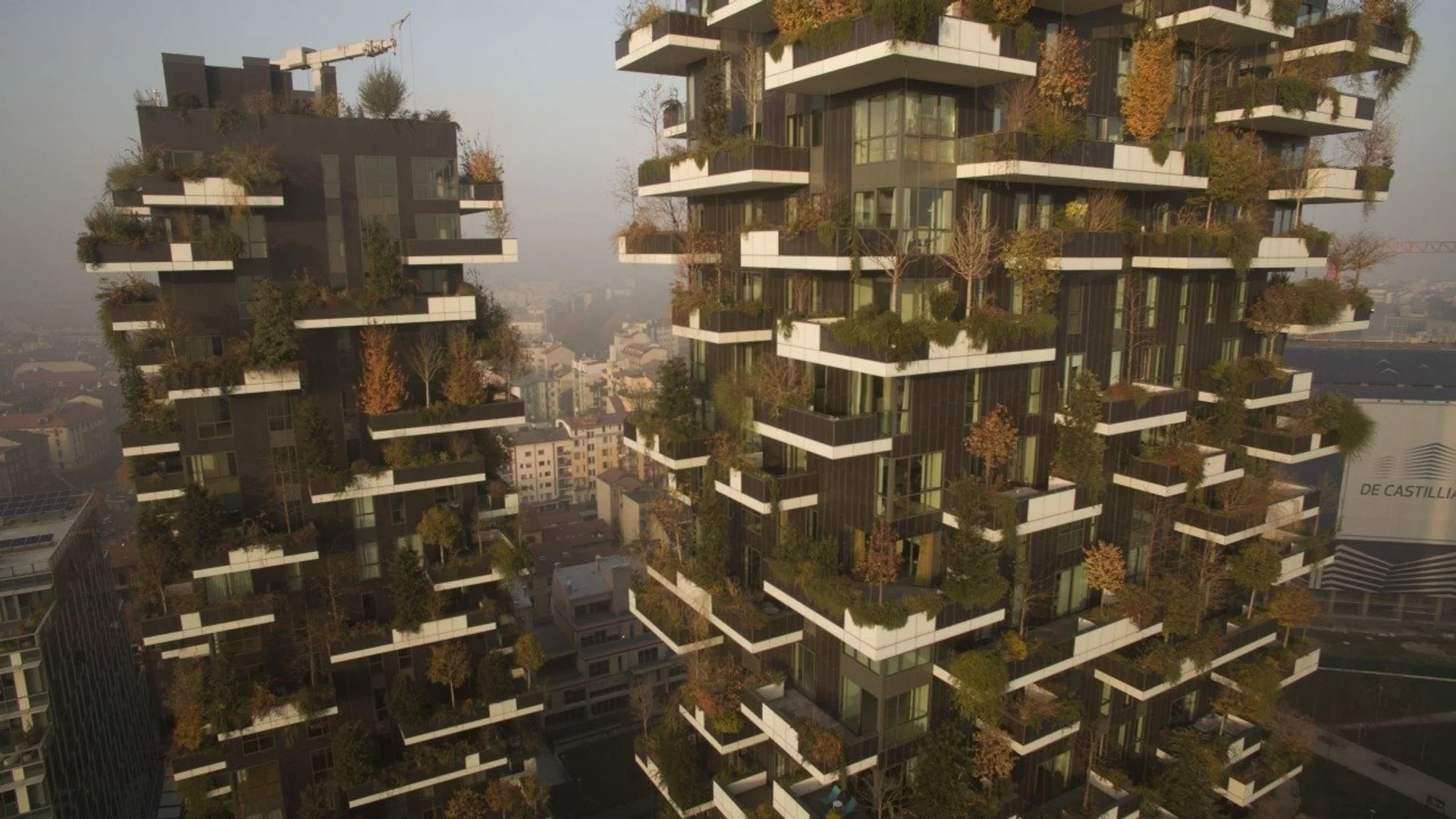 Backdrop de Metamorfosis