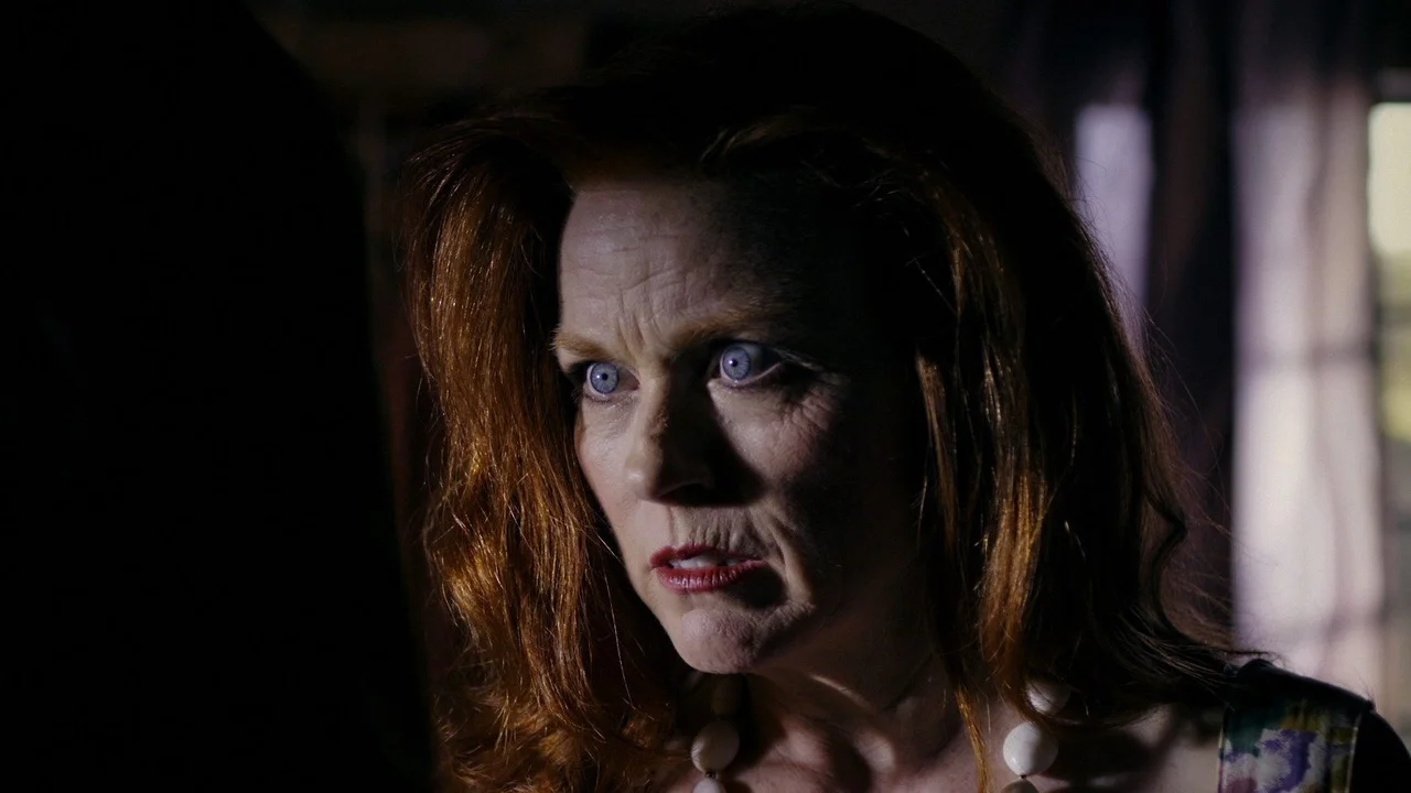 La Muchacha de la limpieza