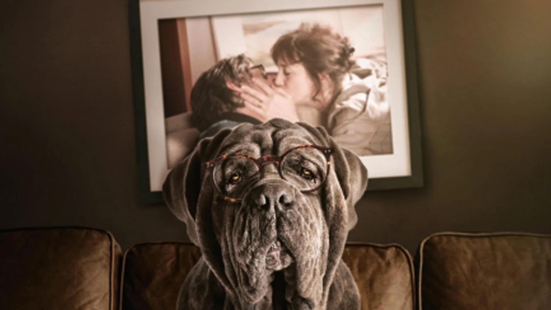 Backdrop de Mon chien stupide