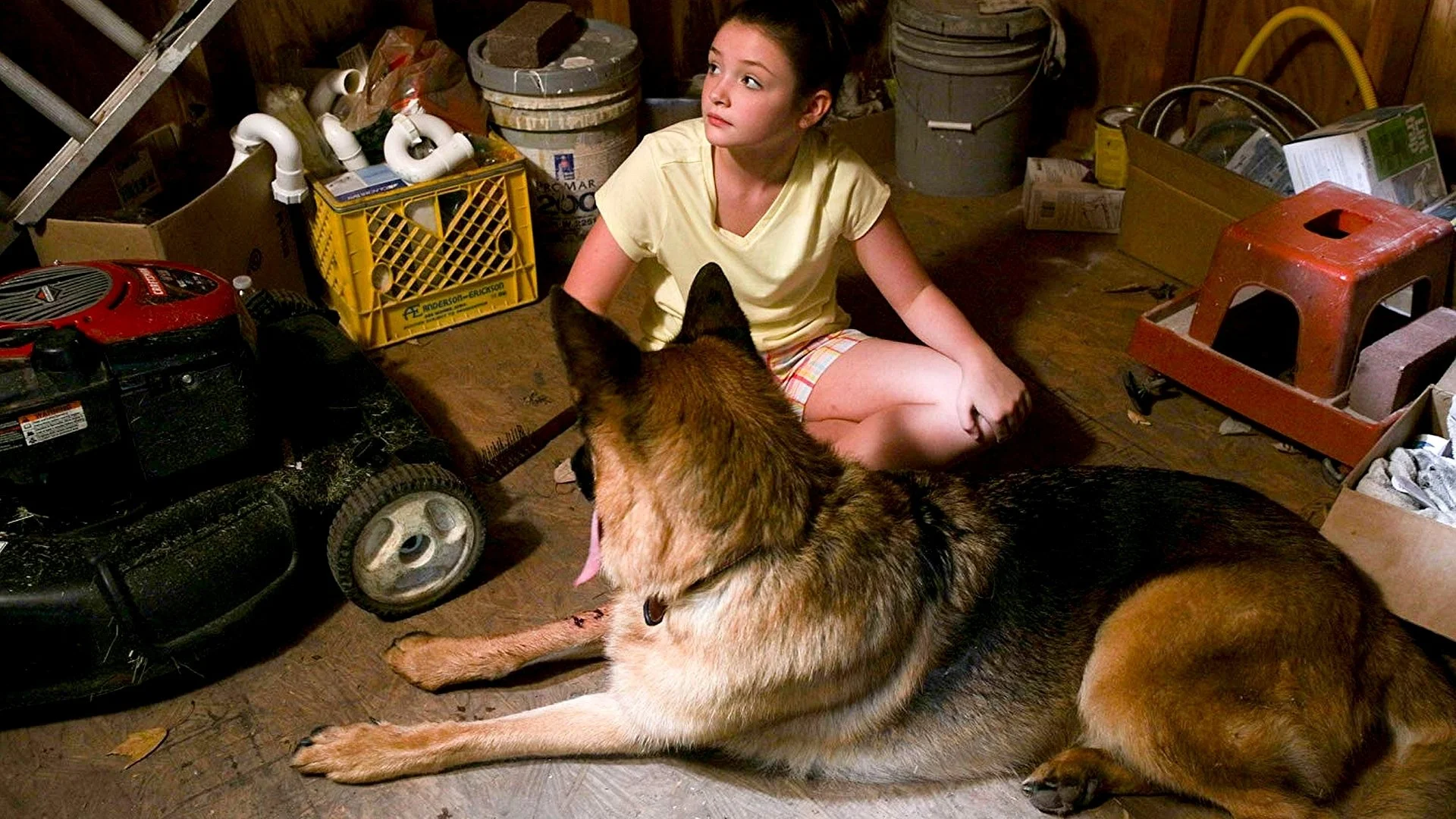 Backdrop de Un amor de cachorro