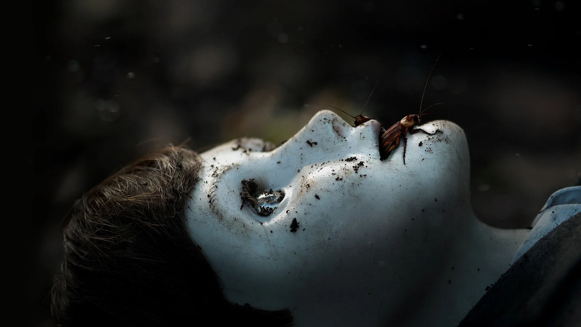 Backdrop de Brahms: El niño 2