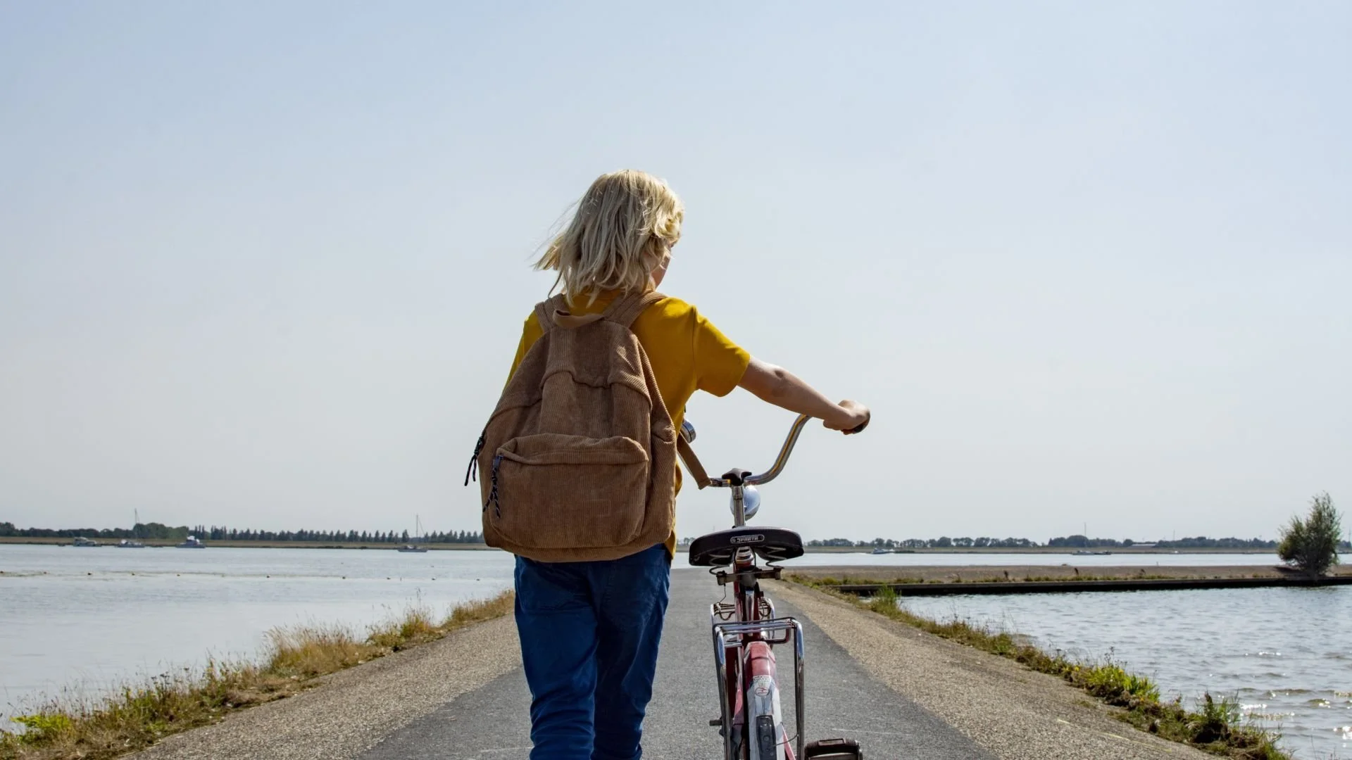 Backdrop de La isla molesta