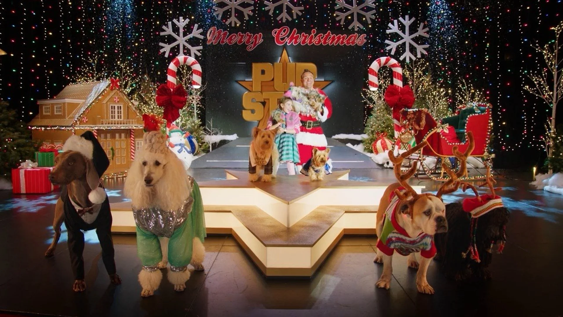 Backdrop de Pup Star: Navidad