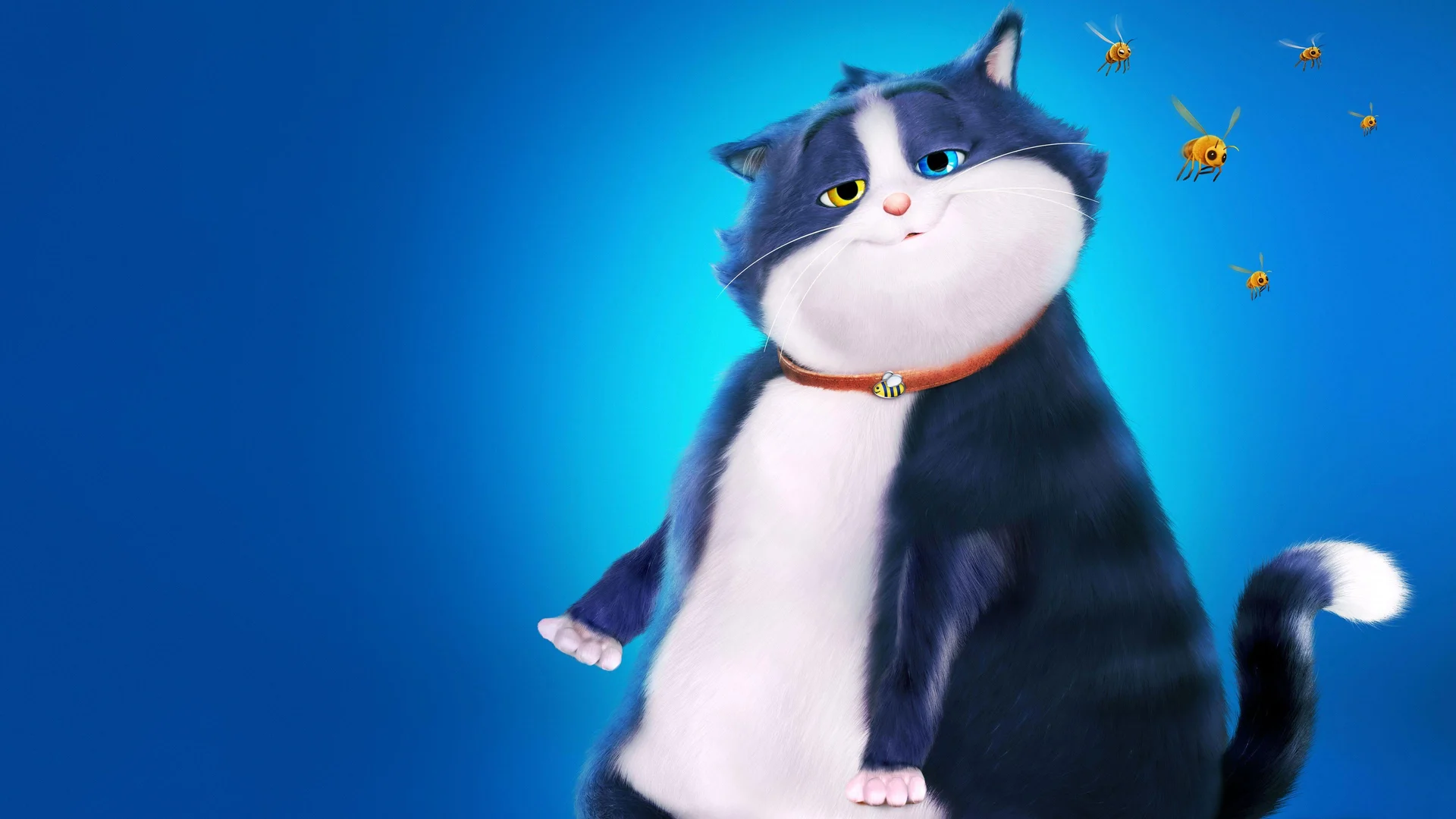 Backdrop de Un Gato con Suerte