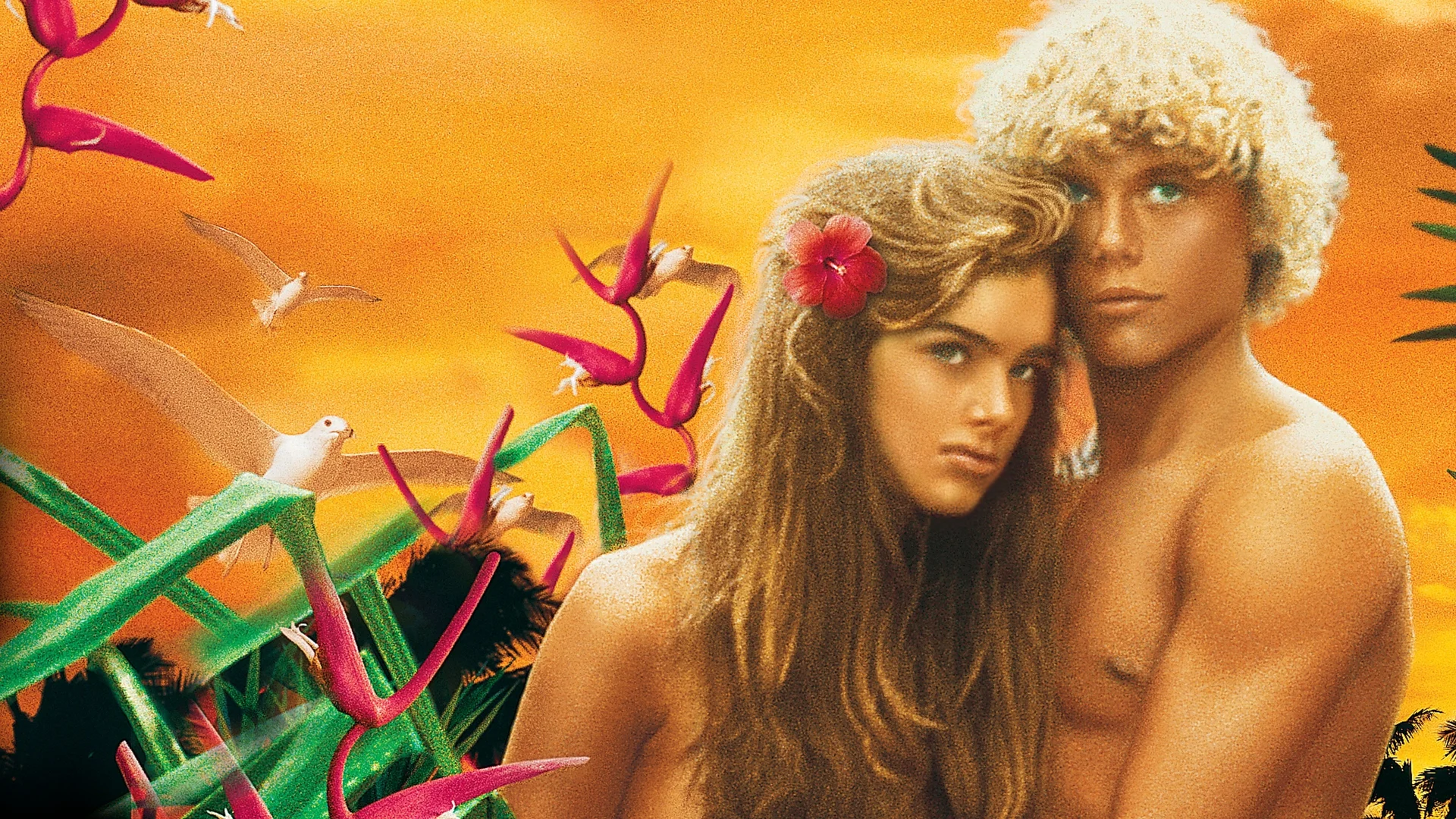 Backdrop de La laguna azul