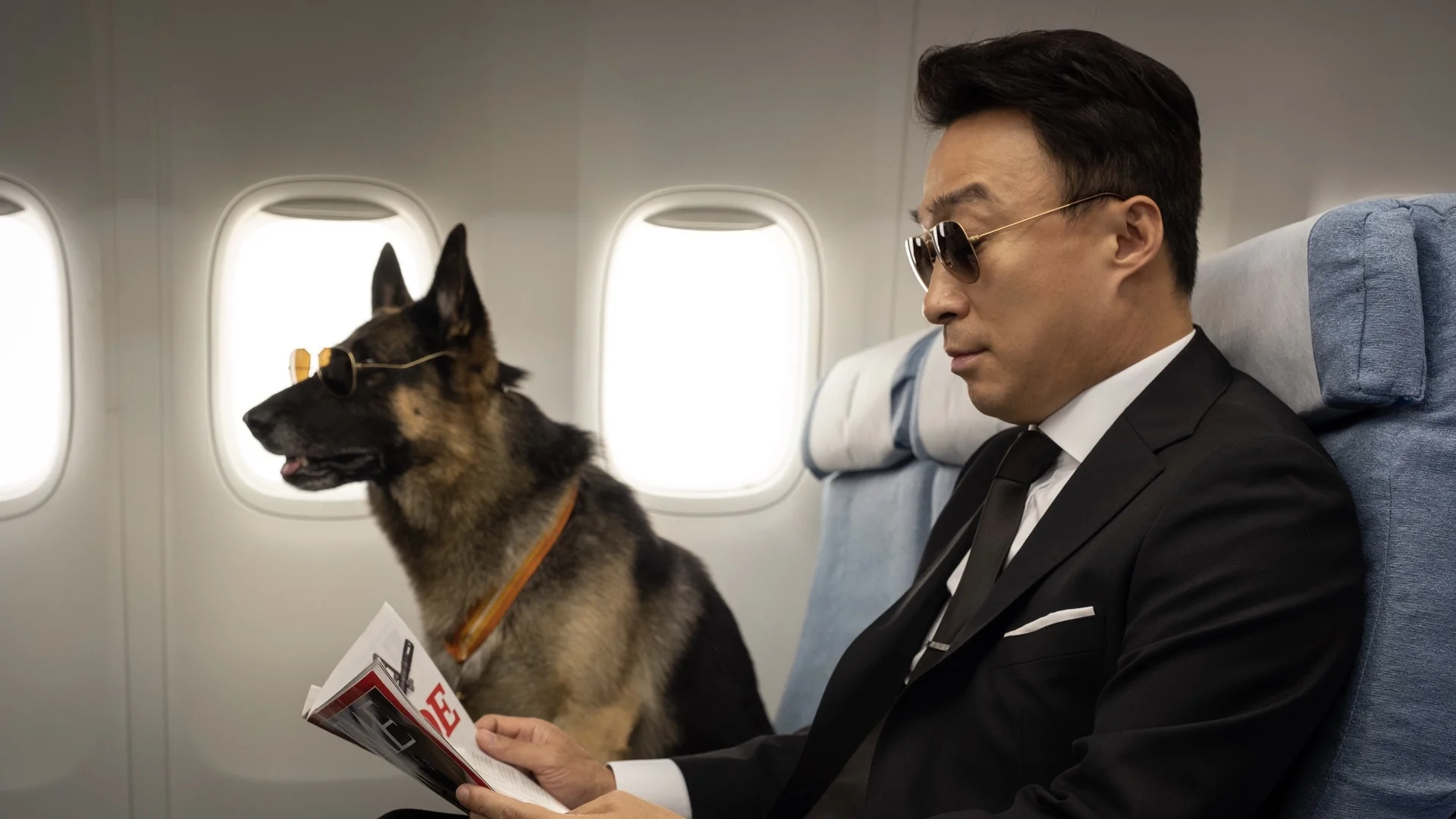 Backdrop de Agente Z – Misterio en el Zoo