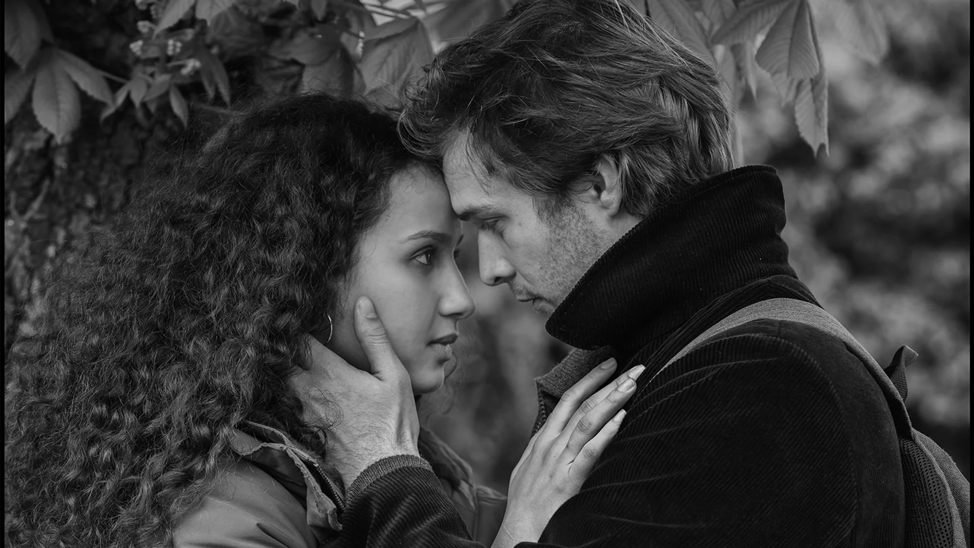 Backdrop de Le Sel des larmes