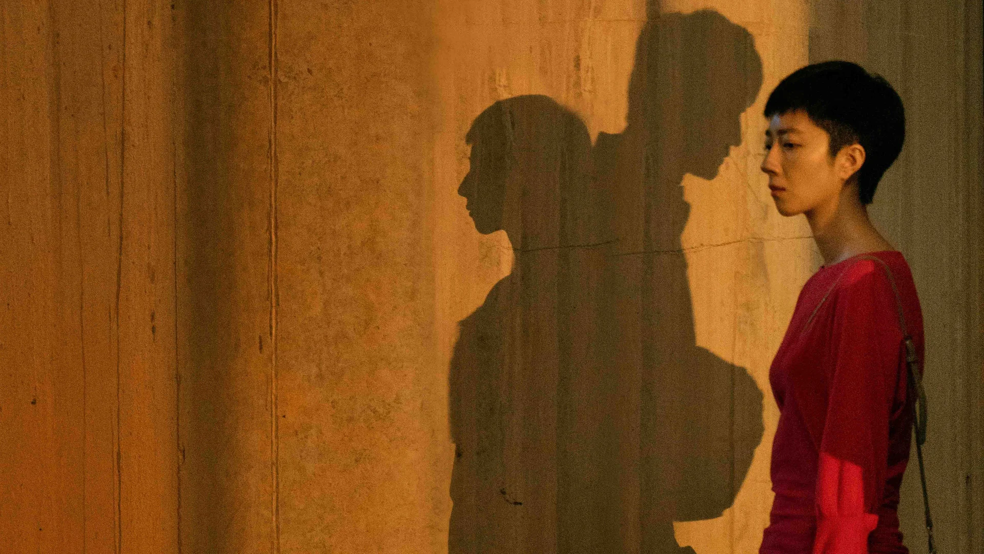 Backdrop de El lago del ganso salvaje