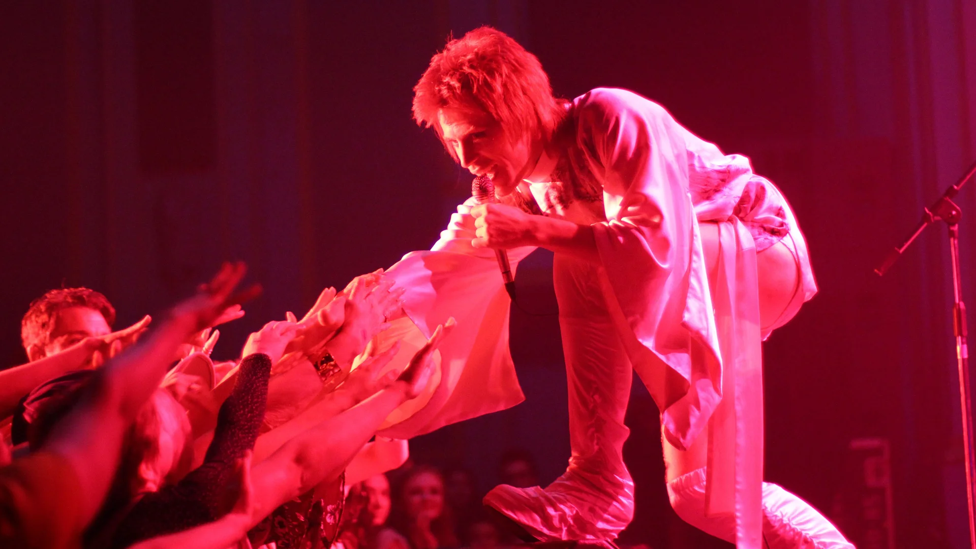 Backdrop de Stardust