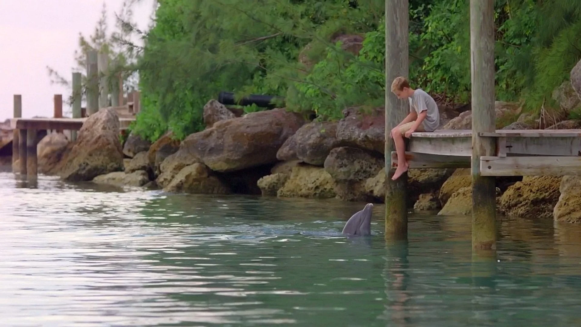 Backdrop de Patada de Delfín (Dolphin Kick)