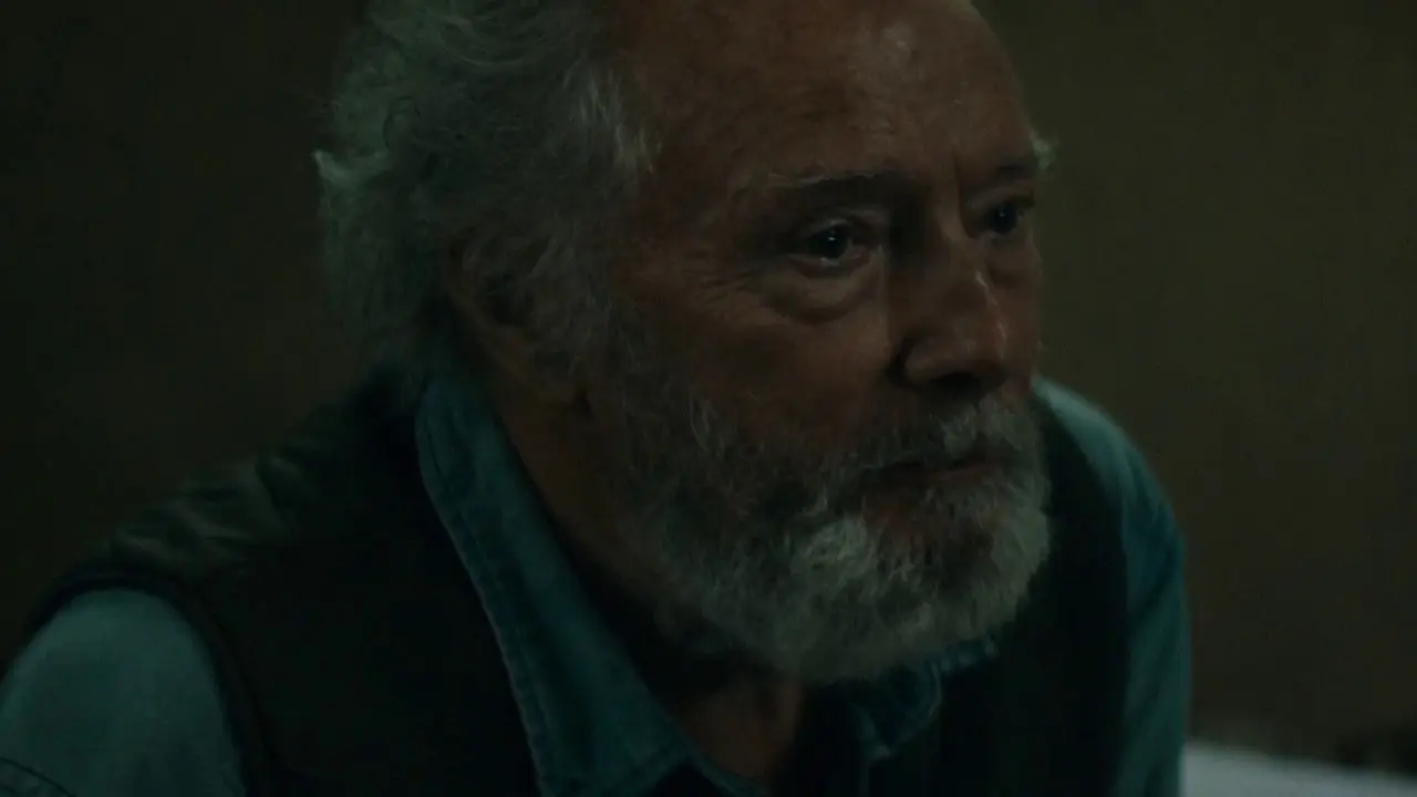 Y llovieron pájaros