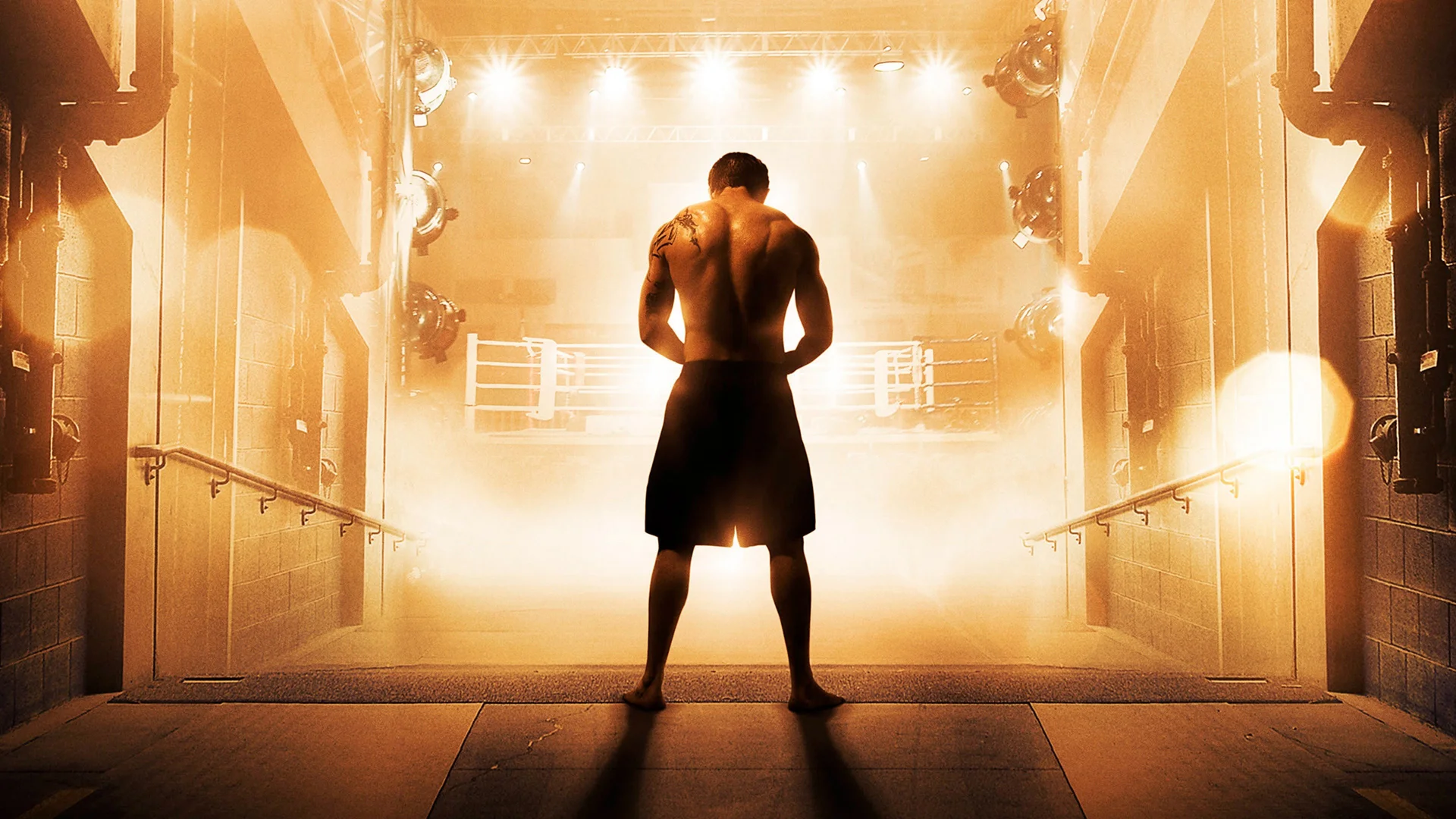 Backdrop de La Última Pelea