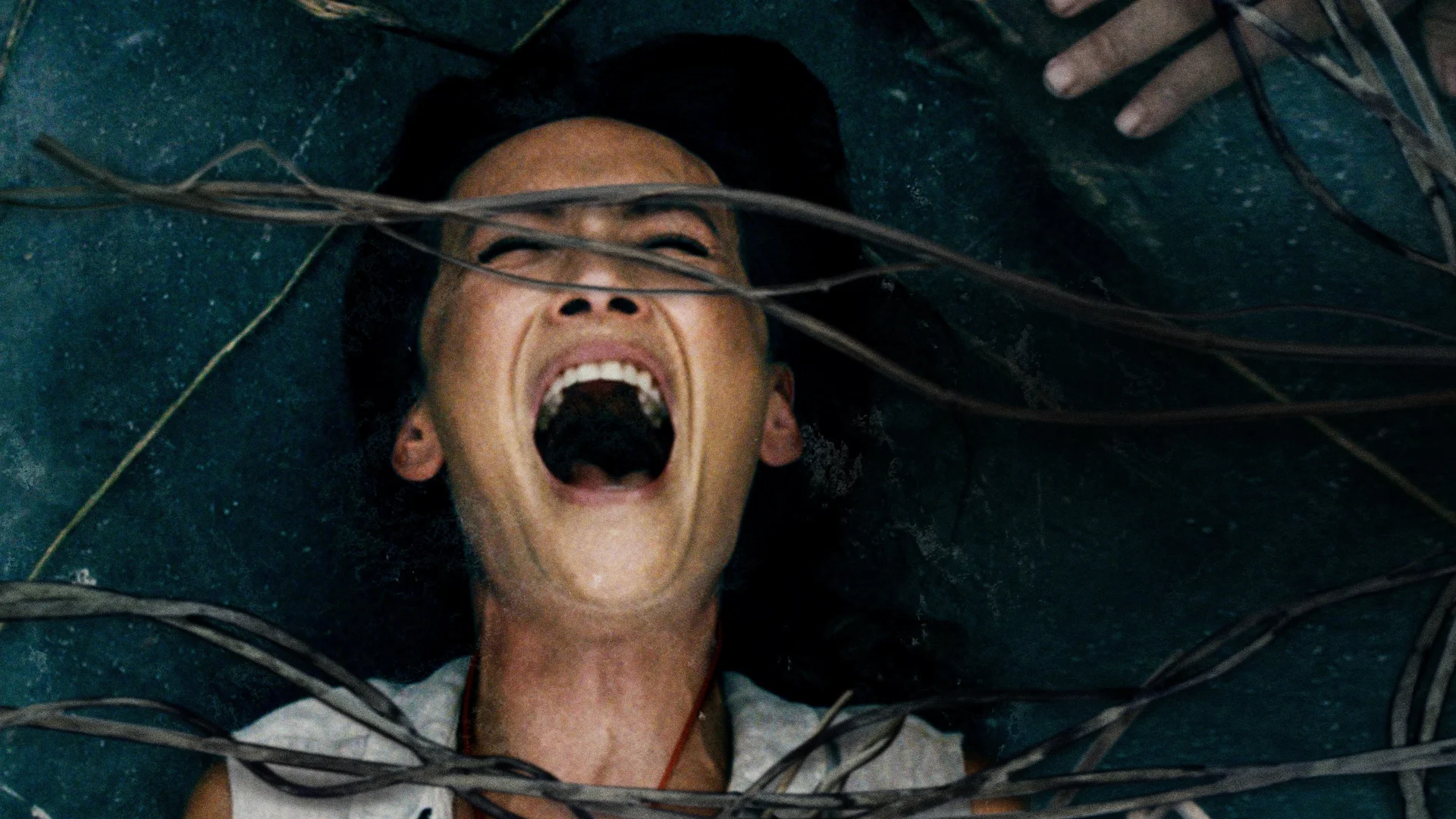 Backdrop de Mi muerte