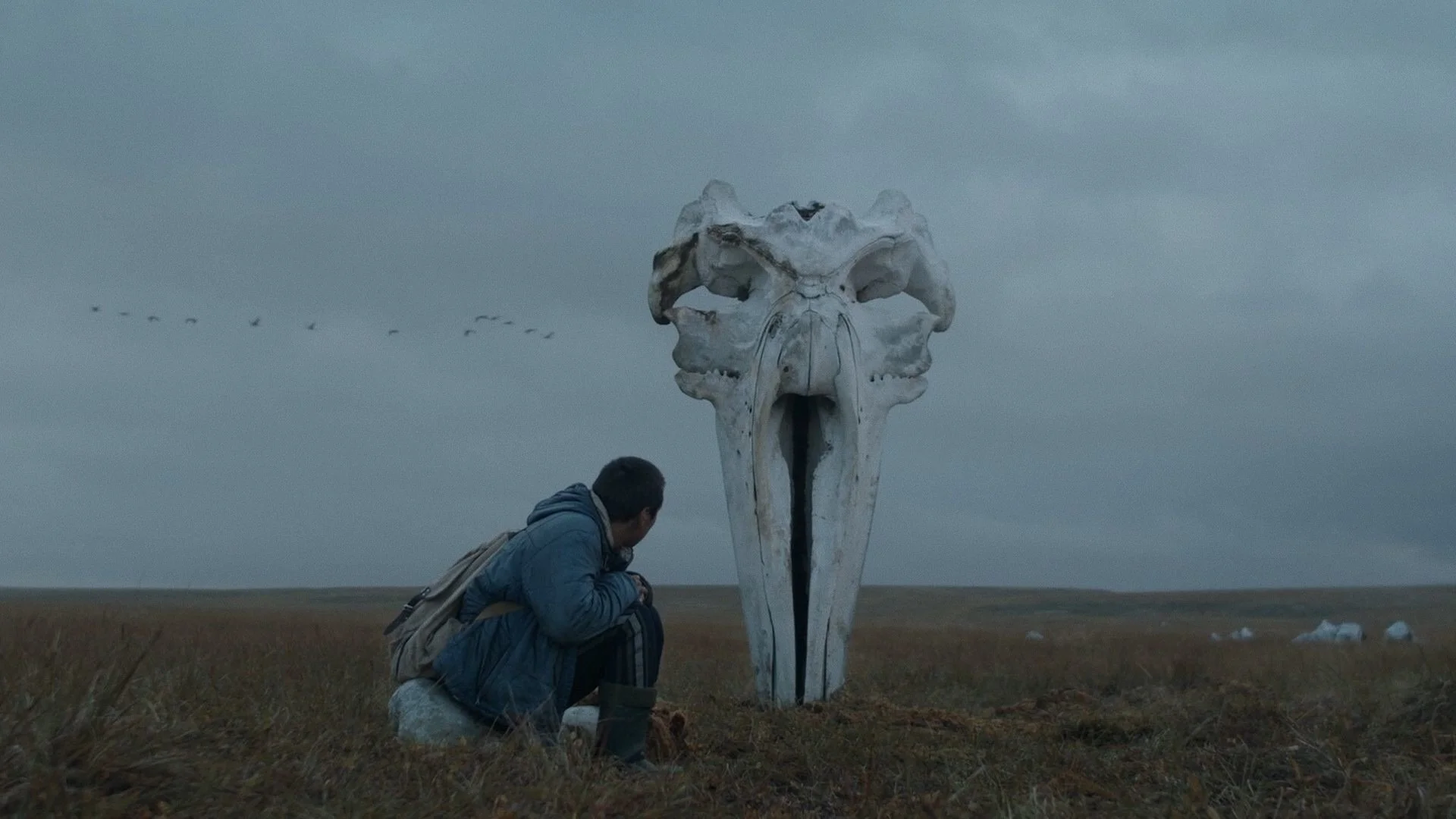 Backdrop de Китобой