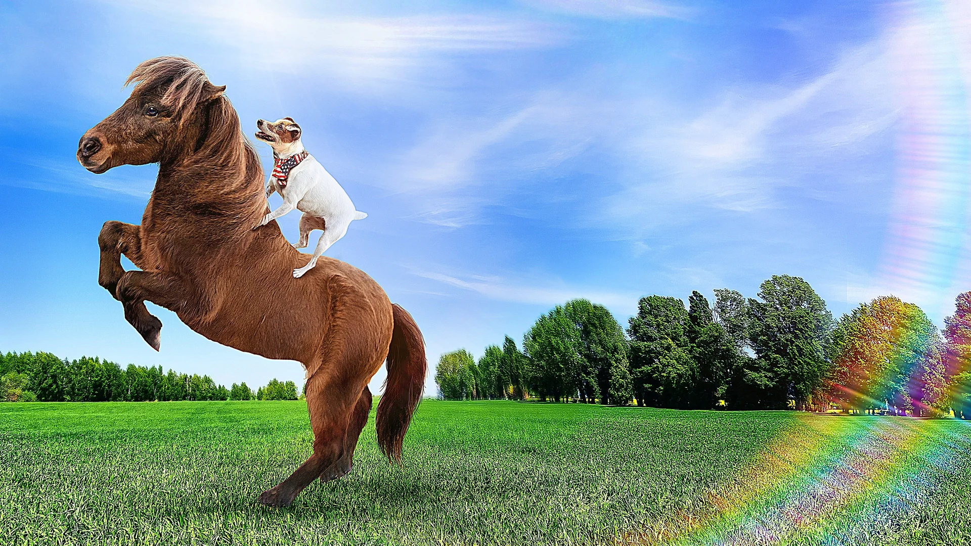 Backdrop de Las aventuras de Dally y Spanky