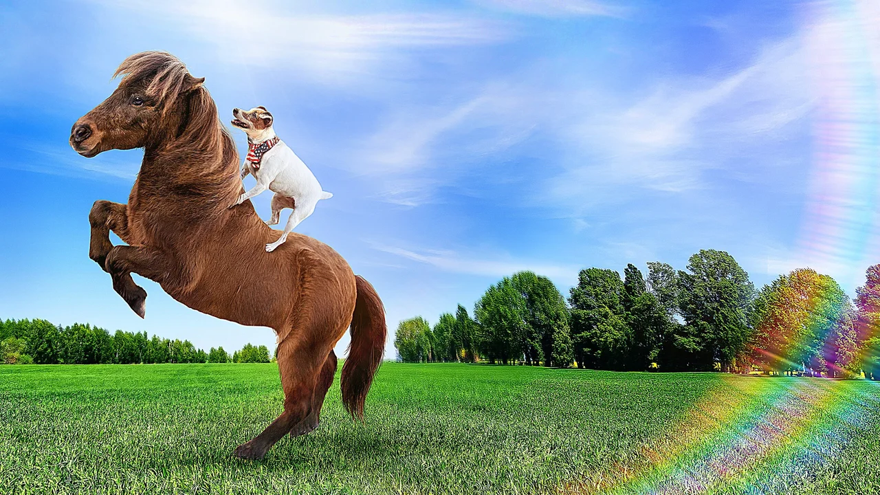 Las aventuras de Dally y Spanky