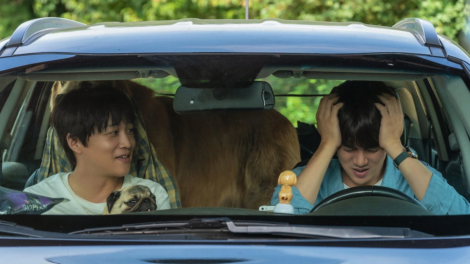 Backdrop de Mejores Amigos