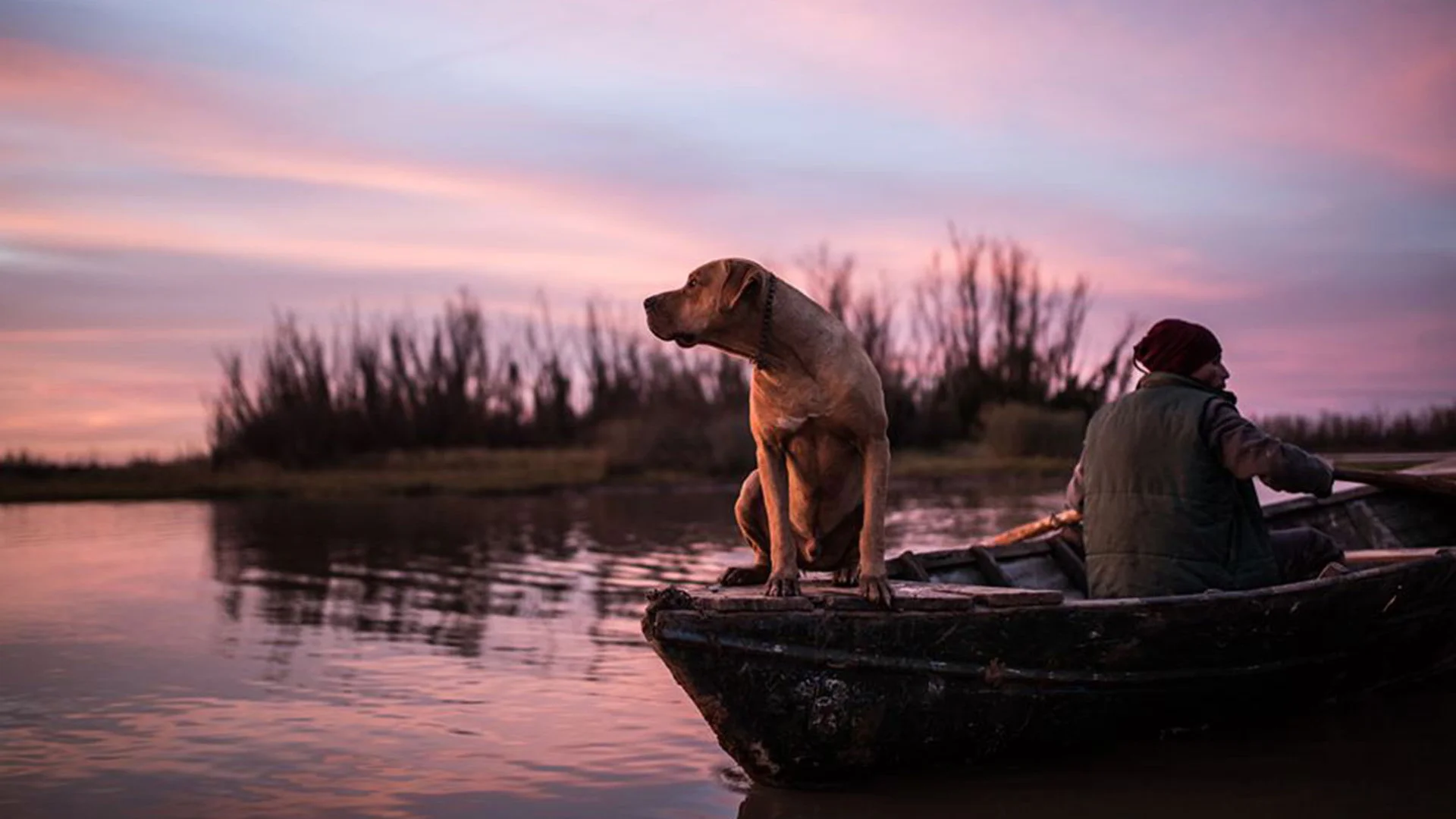 Backdrop de La creciente