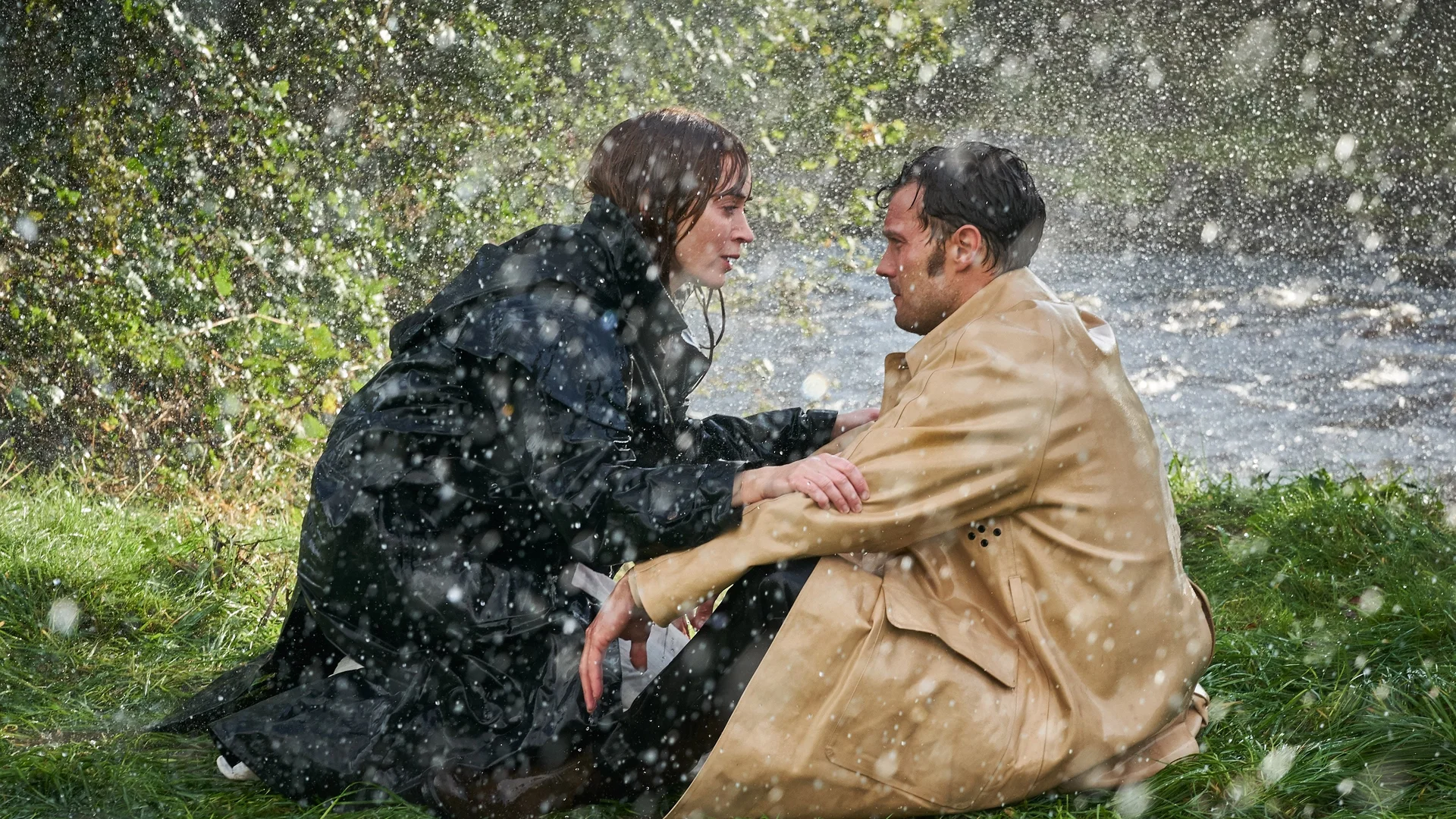 Backdrop de Wild Mountain Thyme