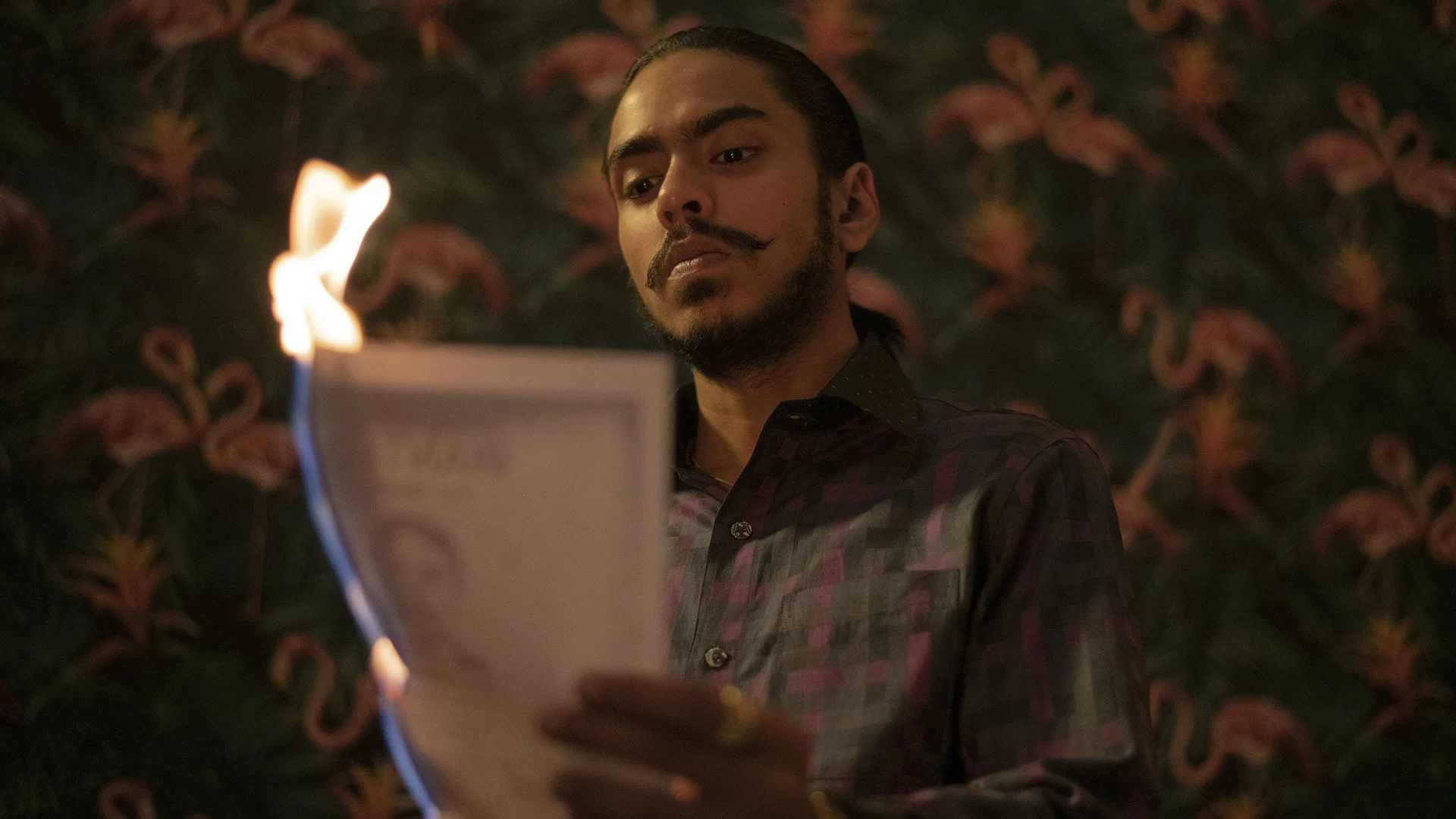 Backdrop de Tigre Blanco