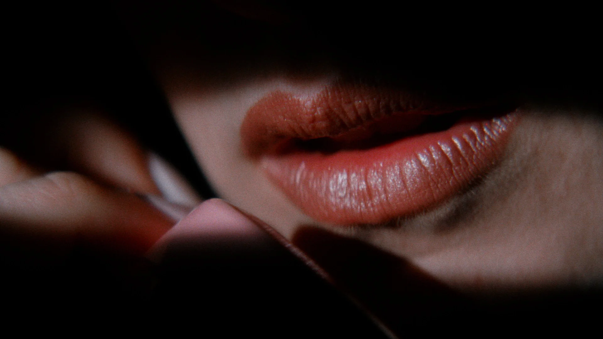 Backdrop de Por el lado oscuro del camino